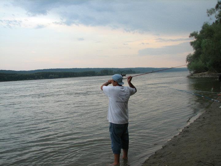 Diverse 2014 - Tot 2010